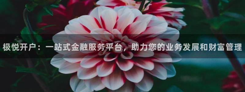 开丰娱乐网址：极悦开户：一站式金融服务平台，助力您的业务发展和财富管理