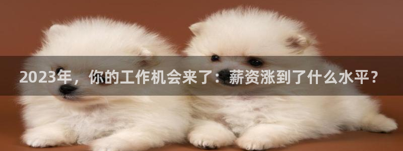 开丰娱乐手机客户端下载安装：2023年，你的工作机会来了：薪资涨到了什么水平？