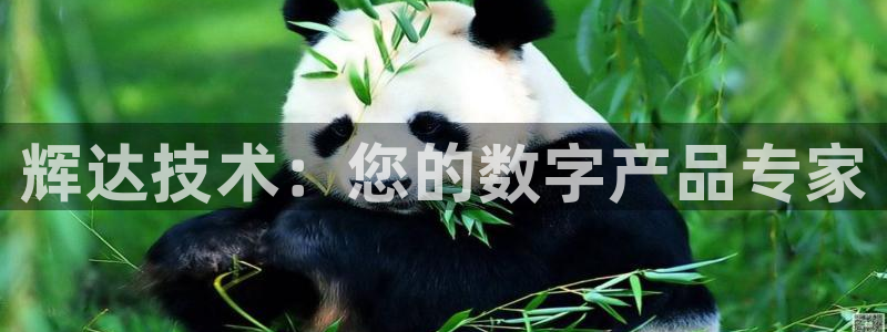 壹号大舞台：辉达技术：您的数字产品专家