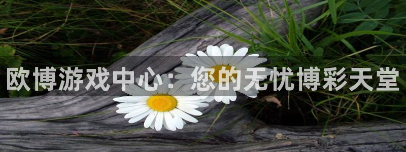 开丰娱乐平台app下载：欧博游戏中心：您的无忧博彩天堂