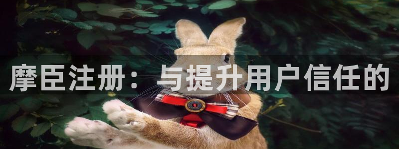 开丰娱乐app新版上线体验.游戏更新入口.中国：摩臣注册：与提升用户信任的