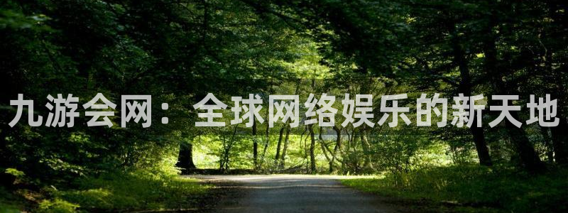 开丰娱乐退款怎么退：九游会网：全球网络娱乐的新天地