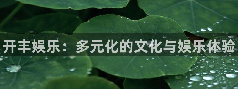 开丰娱乐电玩网官网入口：开丰娱乐：多元化的文化与娱乐体验