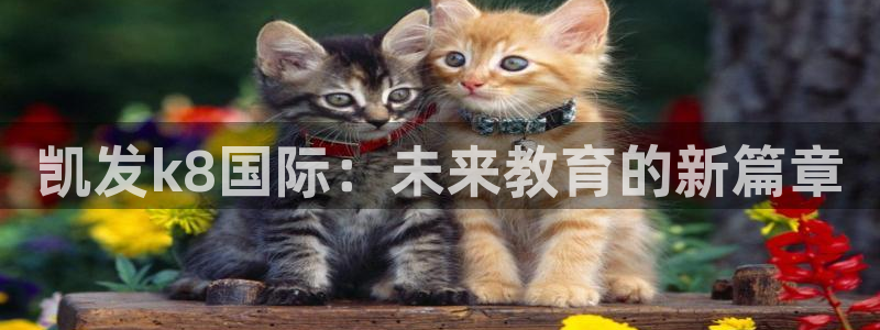 开丰娱乐官网：凯发k8国际：未来教育的新篇章