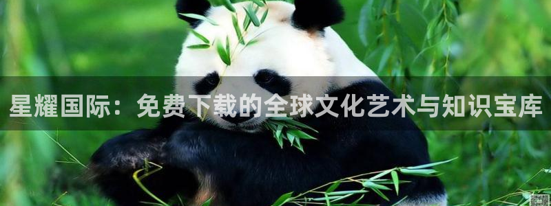 开丰娱乐.ccm：星耀国际：免费下载的全球文化艺术与知识宝库