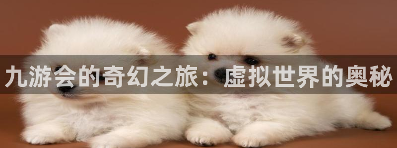 开丰娱乐app最新版怎么下载苹果：九游会的奇幻之旅：虚拟世界的奥秘