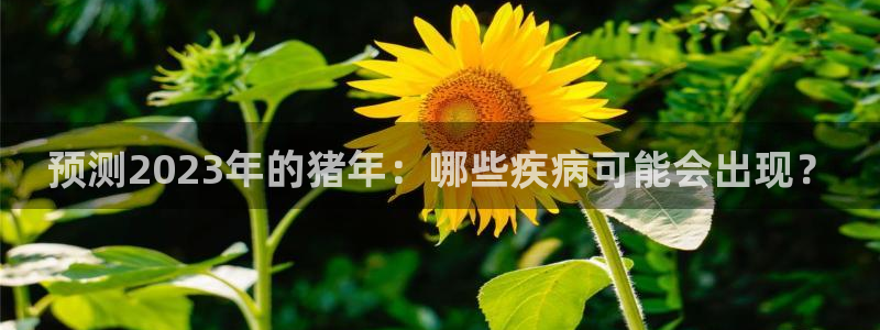 开丰娱乐游戏官网版：预测2023年的猪年：哪些疾病可能会出现？