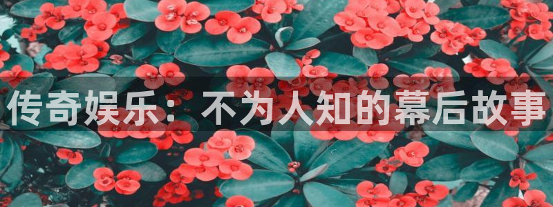 开丰娱乐官方网站下载：传奇娱乐：不为人知的幕后故事