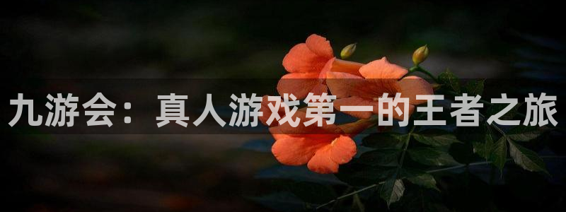 开丰娱乐app新版上线体验.游戏更新入口.中国：九游会：真人游戏第一的王者之旅