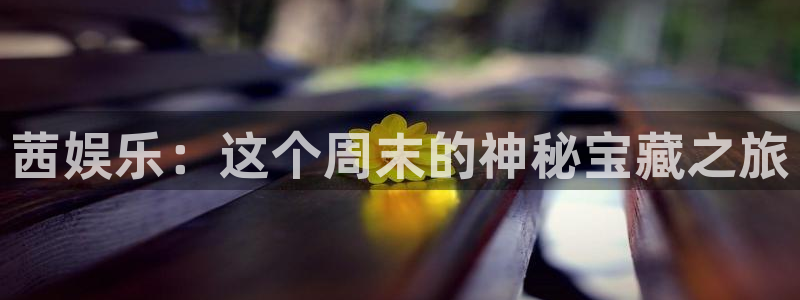 开丰娱乐 - ng大舞台,有梦你就来：茜娱乐：这个周末的神秘宝藏之旅