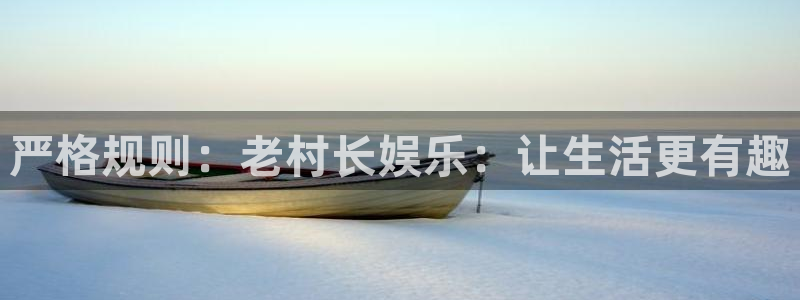 开丰娱乐电子游戏网页版：严格规则：老村长娱乐：让生活更有趣