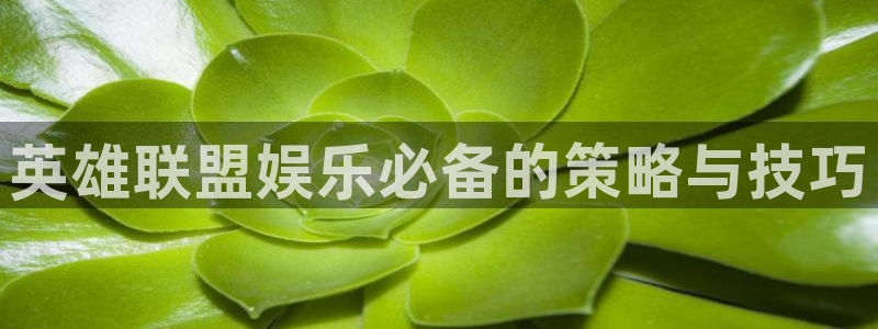 开丰娱乐k88v典cc：英雄联盟娱乐必备的策略与技巧