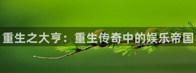 开丰娱乐注册网站链接：重生之大亨：重生传奇中的娱乐帝国
