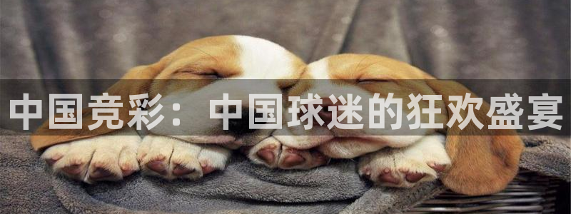 开丰娱乐pg