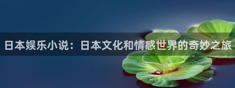 开丰娱乐官网下载