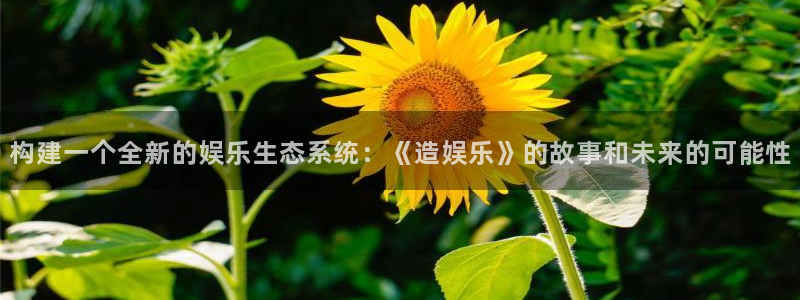开丰娱乐电玩网官网入口：构建一个全新的娱乐生态系统：《造娱乐》的故事和未来的可能性