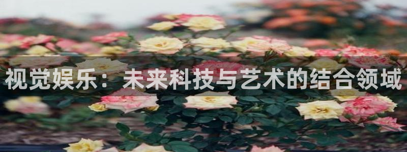 开丰娱乐游戏官网平台入口：视觉娱乐：未来科技与艺术的结合领域