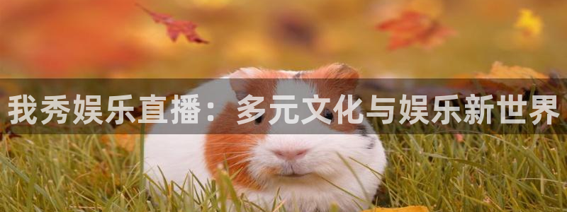开丰娱乐平台app下载：我秀娱乐直播：多元文化与娱乐新世界