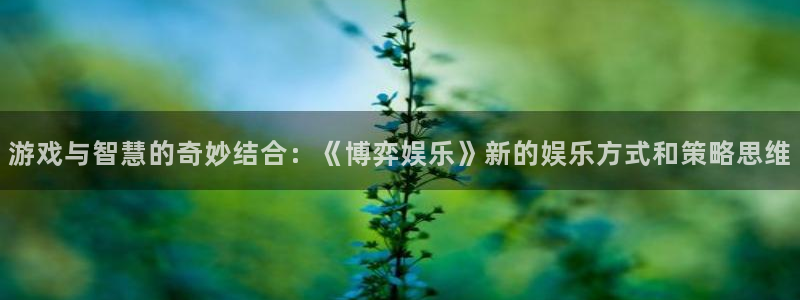 开丰娱乐注册链接入口：游戏与智慧的奇妙结合：《博弈娱乐》新的娱乐方式和策略思维