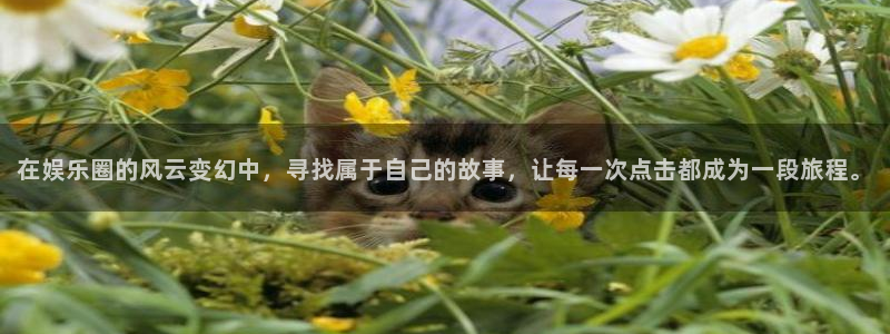 开丰娱乐下载地址：在娱乐圈的风云变幻中，寻找属于自己的故事，让每一次点击都成为一段旅程。