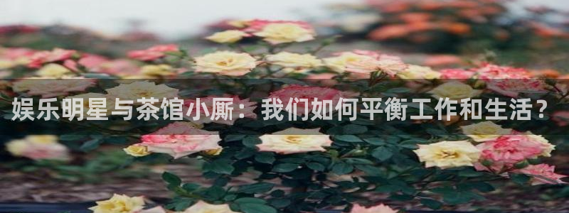 开丰娱乐官方网站：娱乐明星与茶馆小厮：我们如何平衡工作和生活？