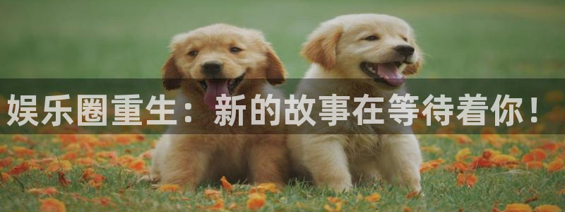 开丰娱乐,com：娱乐圈重生：新的故事在等待着你！