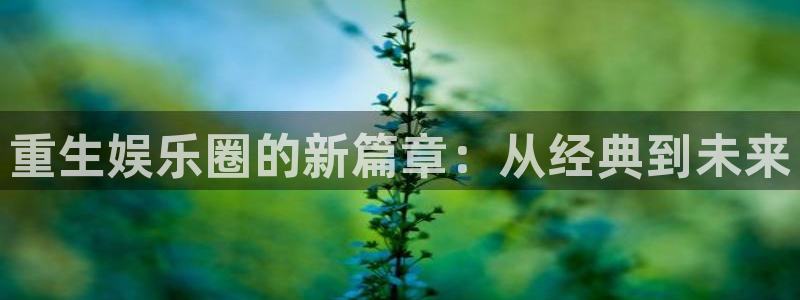 开丰娱乐娱乐：重生娱乐圈的新篇章：从经典到未来