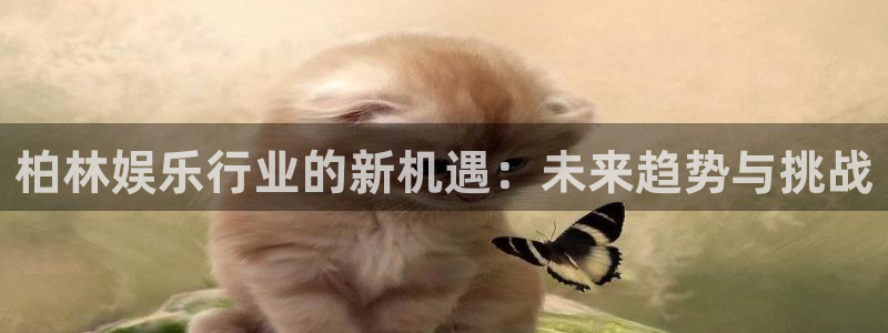 壹号大舞台怎么注册：柏林娱乐行业的新机遇：未来趋势与挑战