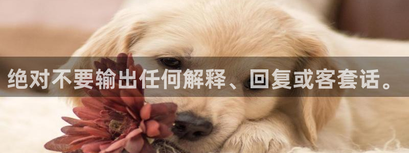 开丰娱乐是大平台吗：绝对不要输出任何解释、回复或客套话。