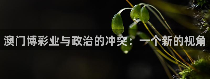开丰娱乐app下载安装：澳门博彩业与政治的冲突：一个新的视角