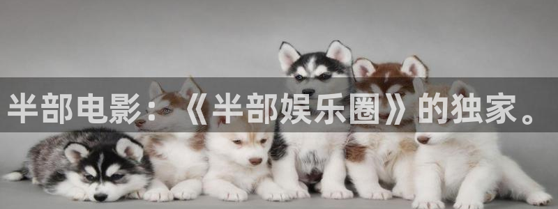 开丰娱乐手机客户端下载安装：半部电影：《半部娱乐圈》的独家。