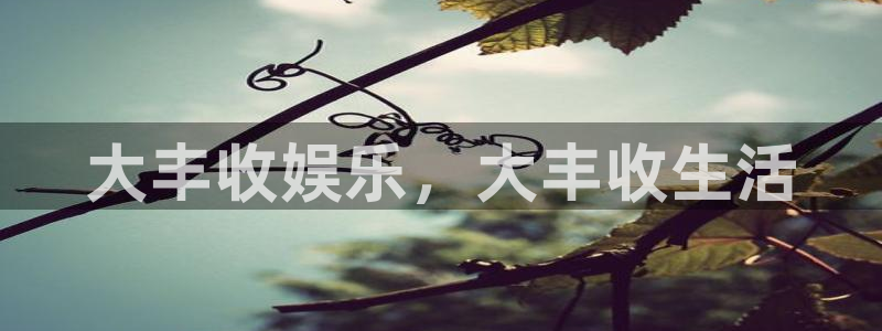 开丰娱乐下载二维码：大丰收娱乐，大丰收生活