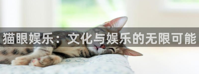 开丰娱乐：猫眼娱乐：文化与娱乐的无限可能