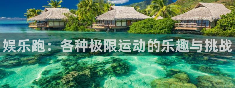 开丰娱乐部门：娱乐跑：各种极限运动的乐趣与挑战