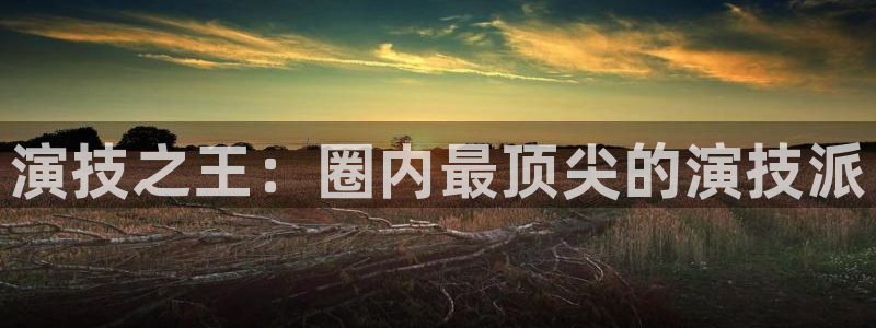 开丰娱乐苹果手机下载链接：演技之王：圈内最顶尖的演技派