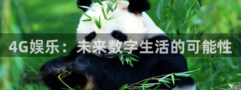 开丰娱乐app最新版：4G娱乐：未来数字生活的可能性