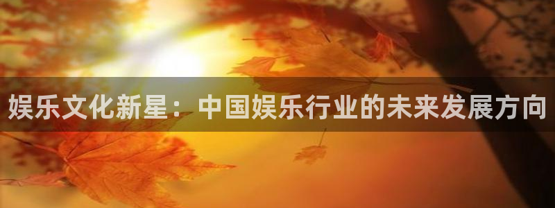 开丰娱乐地址.立即访问注册.中国：娱乐文化新星：中国娱乐行业的未来发展方向
