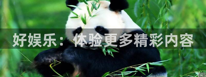 南宫开丰娱乐：好娱乐：体验更多精彩内容